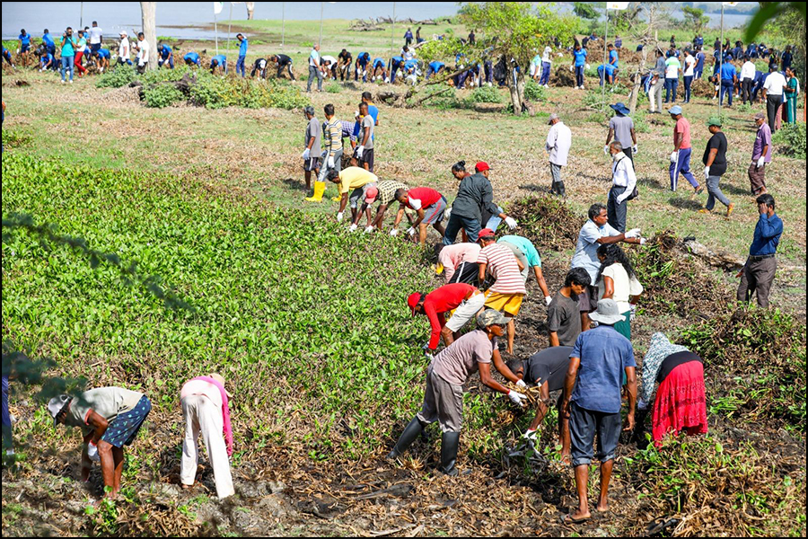 ‘තබ්බෝව ආයෙත් අලින්ට’ කඩිනම් ව්‍යාපෘතිය ඇරඹෙයි