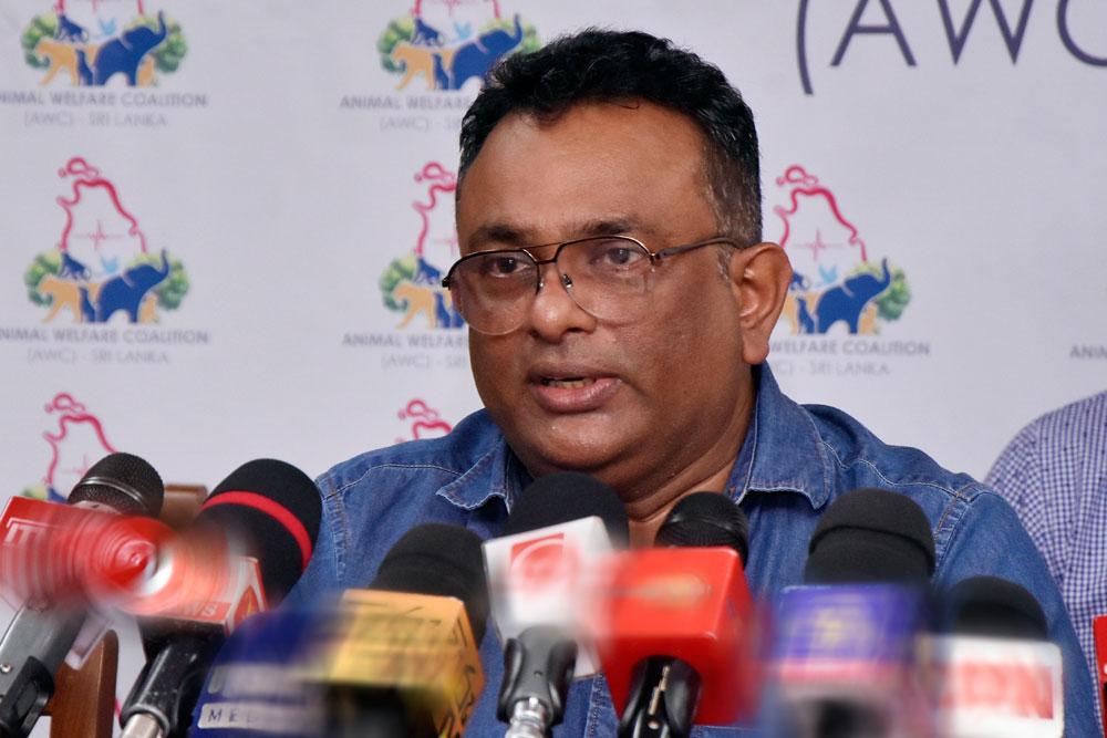 වැඩිපුරම මිනිසුන් සපා කා ඇත්තේ ගෙවල් වල ඉන්න “බලු රාළ” ලා