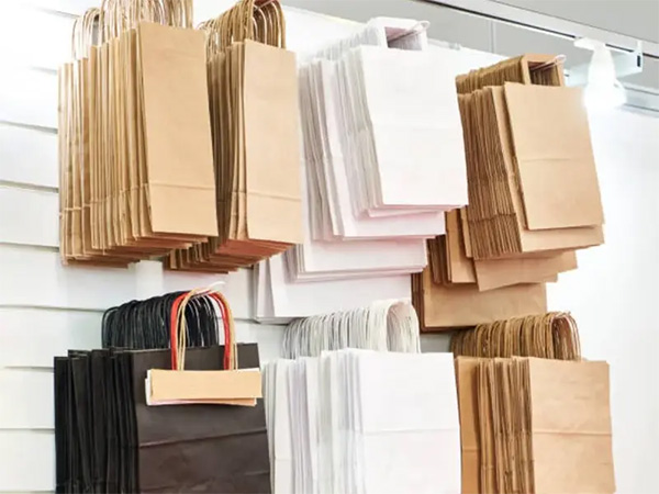 පොලිතීන් බෑග් වෙනුවට කඩදාසි බෑගයක් නිෂ්පාදනය කිරීමට යෝජනාවක්