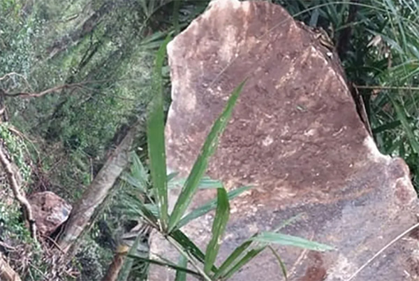 හල්දුම්මුල්ලේ පවුල් 6ක් ඉවත් කරයි