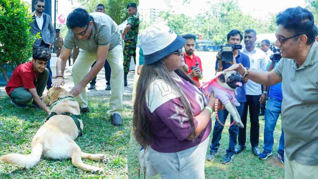 සත්ව හිංසනය වළක්වා සත්ව හිමිකම් හා සුබසාධනය නීතිගත කළ යුතුයි