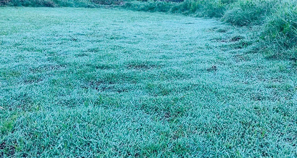 වසර 25කට පසු නුවරඑළියේ සීතල වැඩි වෙයි