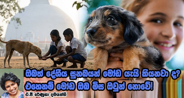 ඔබත් දේශීය සුනඛයන් මෝඩ යැයි කියනවා ද? එහෙනම් මෝඩ ඔබ මිස ඔවුන් නොවේ!
