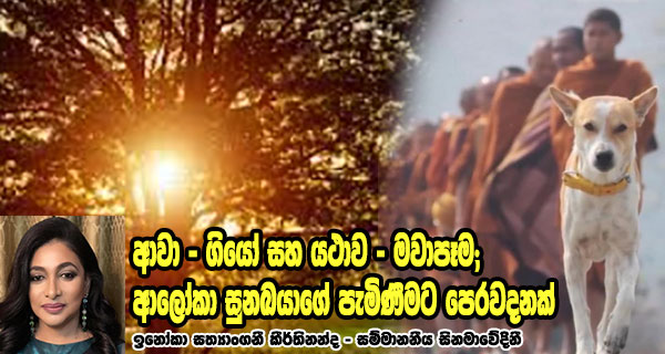 ආවා - ගියෝ සහ යථාව - මවාපෑම; ආලෝකා සුනඛයාගේ පැමිණීමට පෙරවදනක් - ඉනෝකා සත්‍යාංගනී කීර්තිනන්ද - සම්මානනීය සිනමාවේදිනී