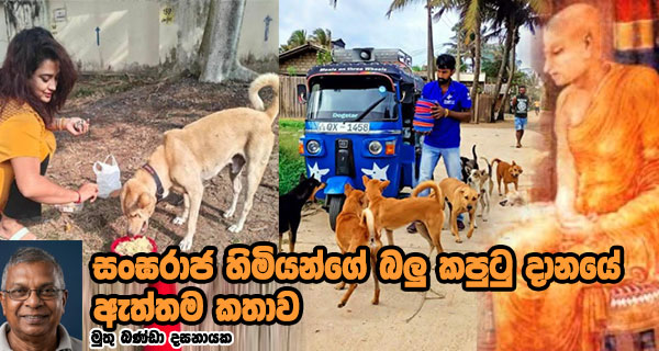 සංඝරාජ හිමියන්ගේ බලු කපුටු දානයේ ඇත්තම කතාව