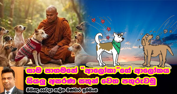 සාම පාගමනේ “ආලෝකා”ගේ ආලෝකය සියලු අසරණ සතුන් වෙත පතුරුවමු - වෛද්‍ය නීතිඥ පාලිත බණ්ඩාර සුබසිංහ