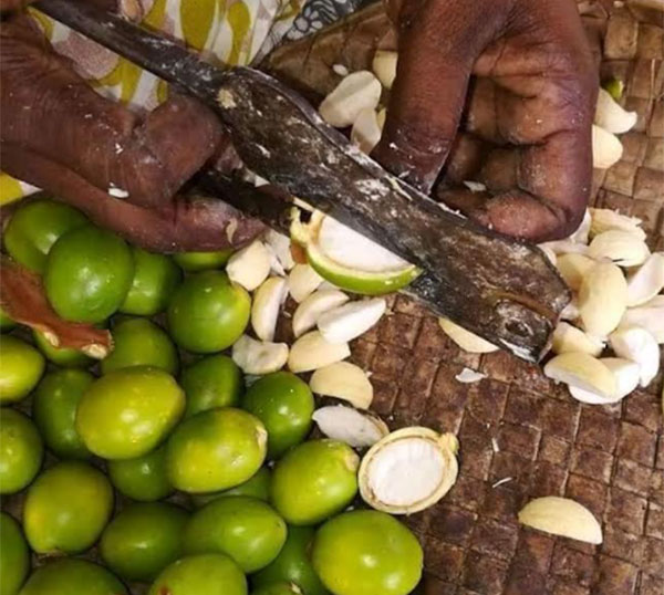 :මඩු පිට්ටු සැකසීම