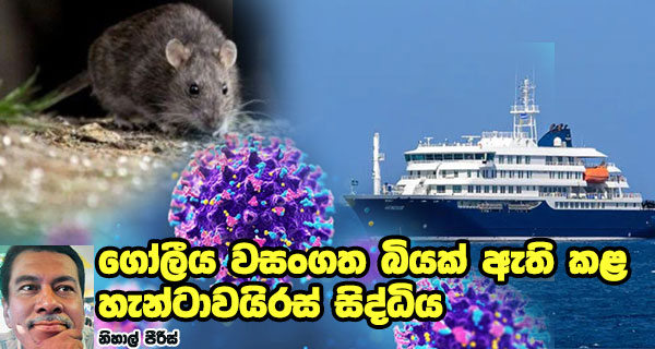 ගෝලීය වසංගත බියක් ඇති කළ හැන්ටාවයිරස් සිද්ධිය