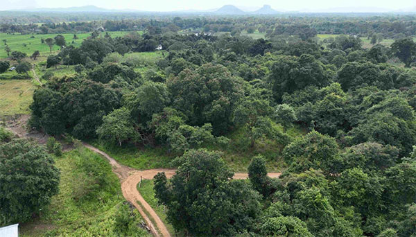 තුම්බිකුලම වන රක්ෂිතයෙන් ඉවත් කිරීමට සැලැසුම් කරන වනාන්තරය