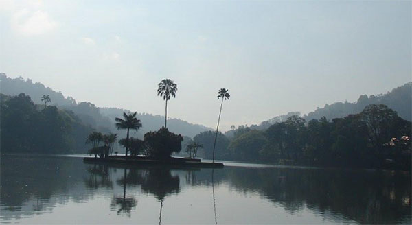 නුවර වැව