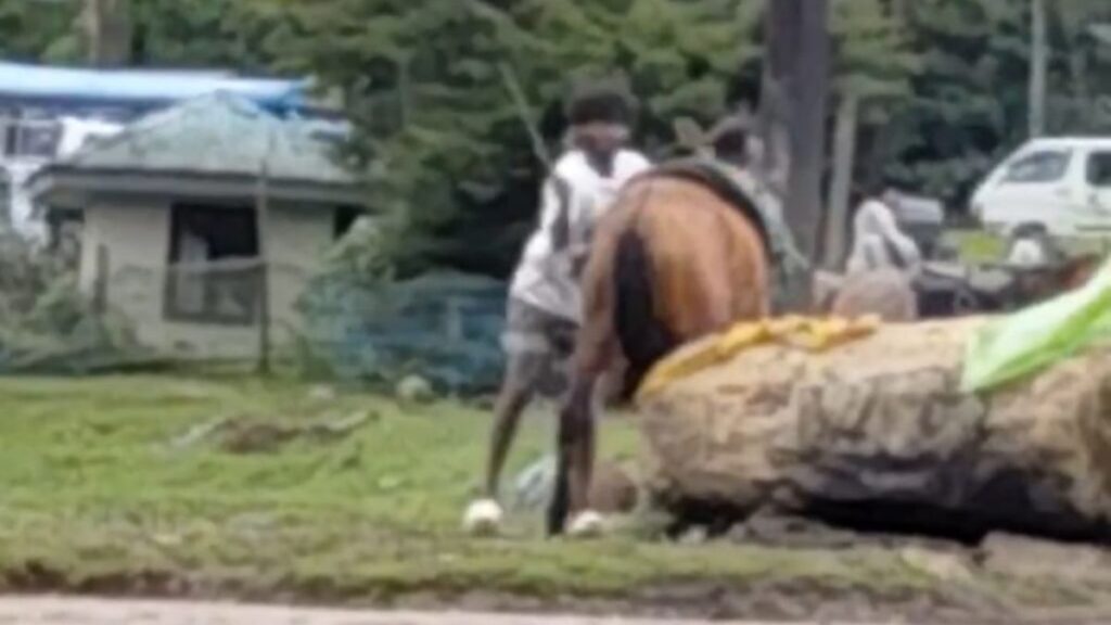 නුවරඑළිය ග්‍රෙගරි වැව අද්දර දී පෝනියකුට පහරදුන් තරුණයා අත්අඩංගුවට