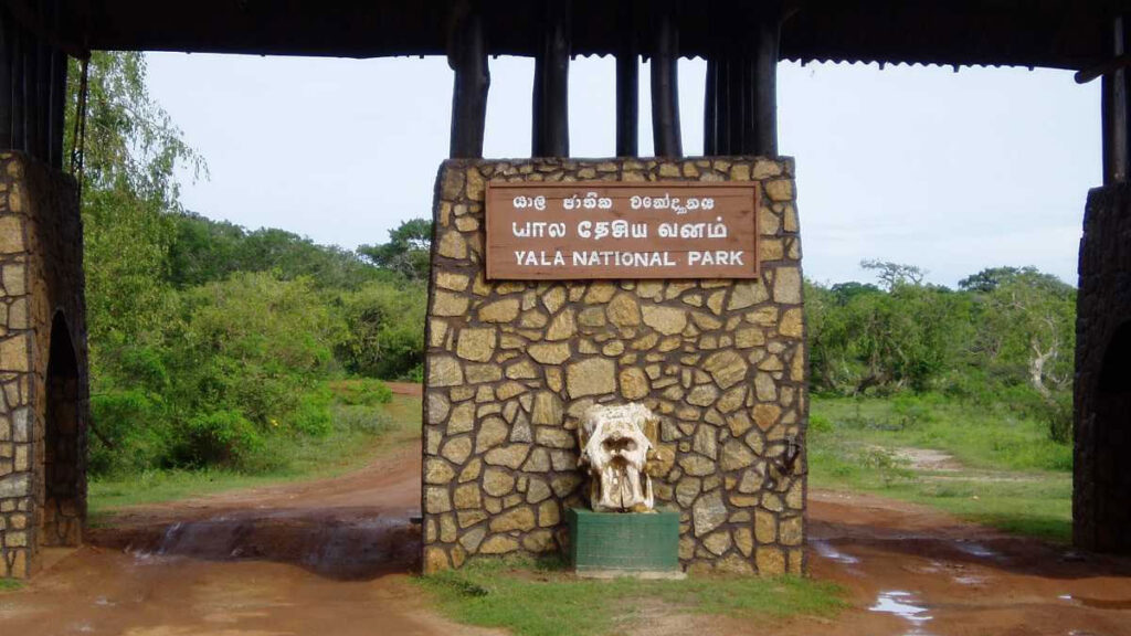 යාල දඩයම්කරුවන් හා වනජීවී නිලධාරීන් අතර වෙඩි හුවමාරුවක් ; තුවාල ලැබූ අයෙක් රෝහලේ