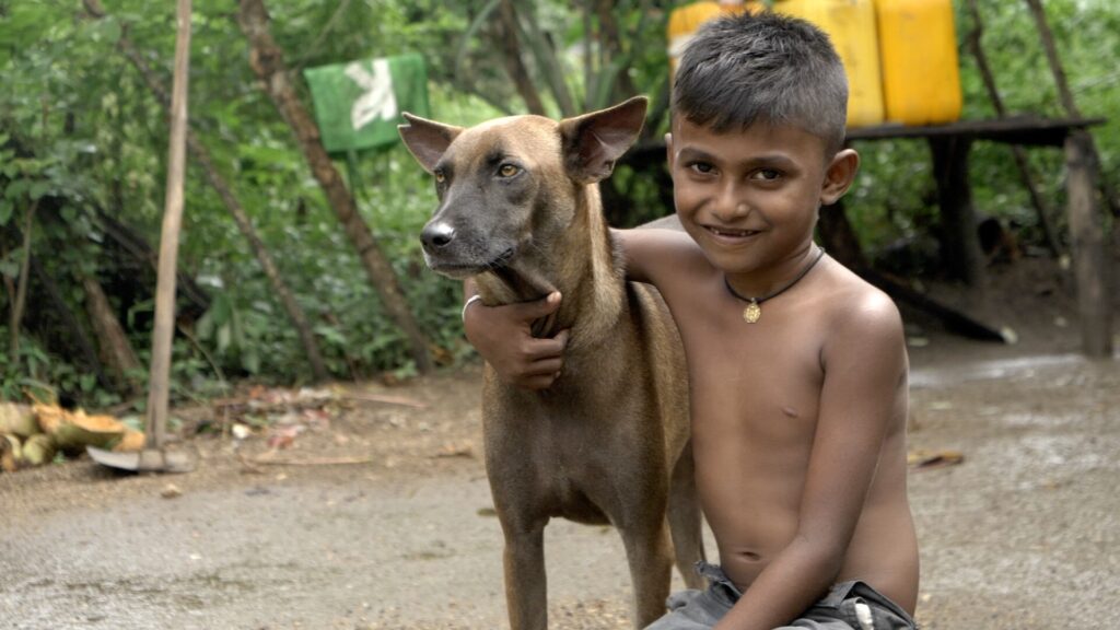 සුනඛයන් ලියාපදිංචිය අනිවාර්ය කෙරෙන නව පනත් කෙටුම්පත ගැසට් කෙරේ