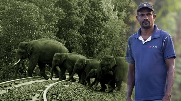 චමින්ද කුමාර හෙවත් 'අලි කුමාර'
