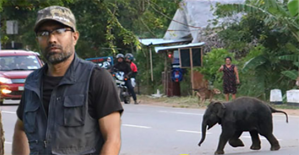 ආර්. එම්. ජේ. බණ්ඩාර හෙවත් 'අලි බණ්ඩාර'