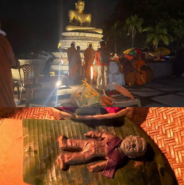 විහාරමහාදේවි උද්යානයට රැගෙන ආ කටු ගසන බෝනික්කා