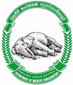 වන ජීවී සංරක්ෂණ දෙපාර්තමේන්තුව මුල් කොට සමාජ ජාලයන් ඔස්සේ විසිරණය වන කෘතිමව සකසන ලද රූප සටහනක්